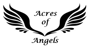 Acres of Angels logo